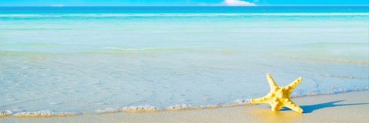 AndreaAzofeifaR's profile banner image