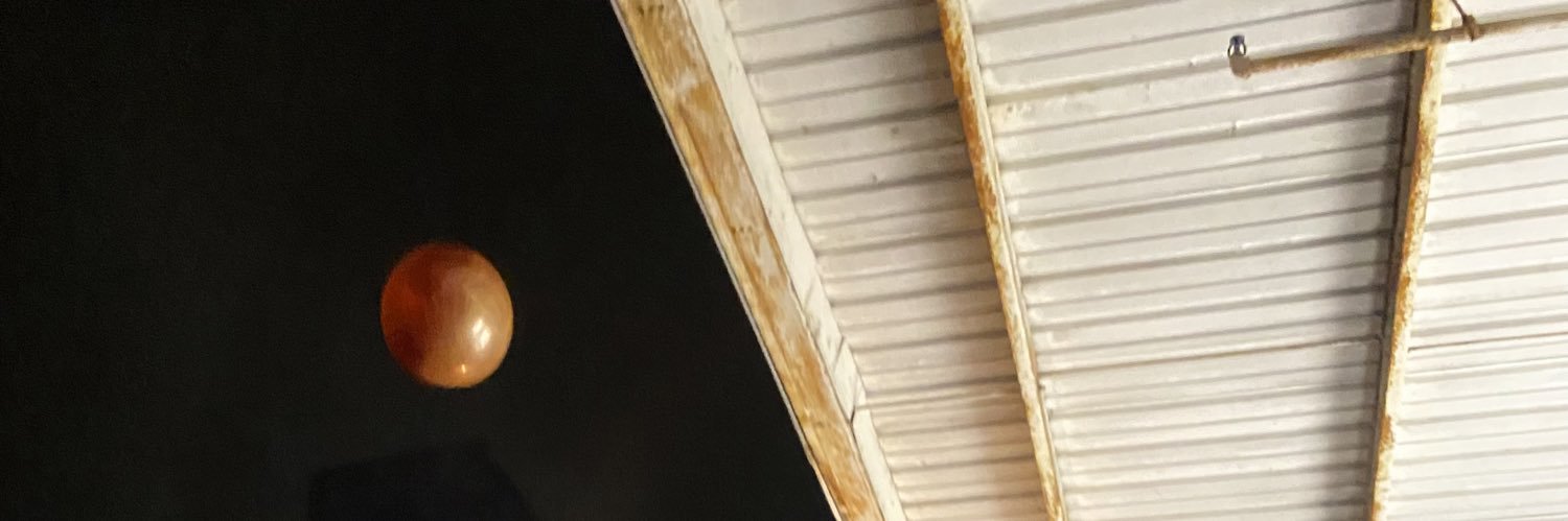 POOCHENSTElN's profile banner image