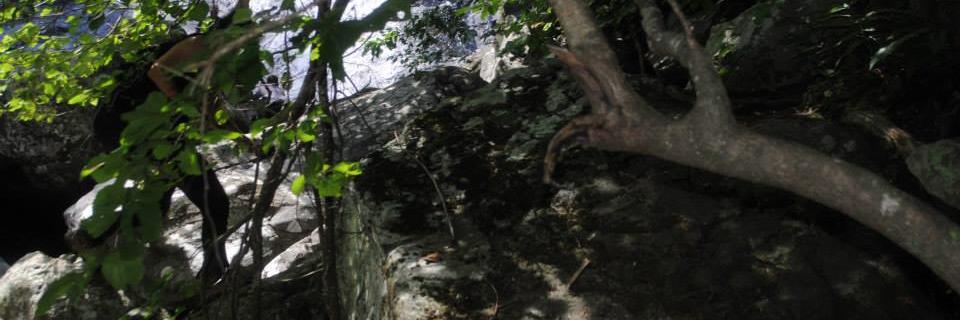 HoorayitsJeff's profile banner image