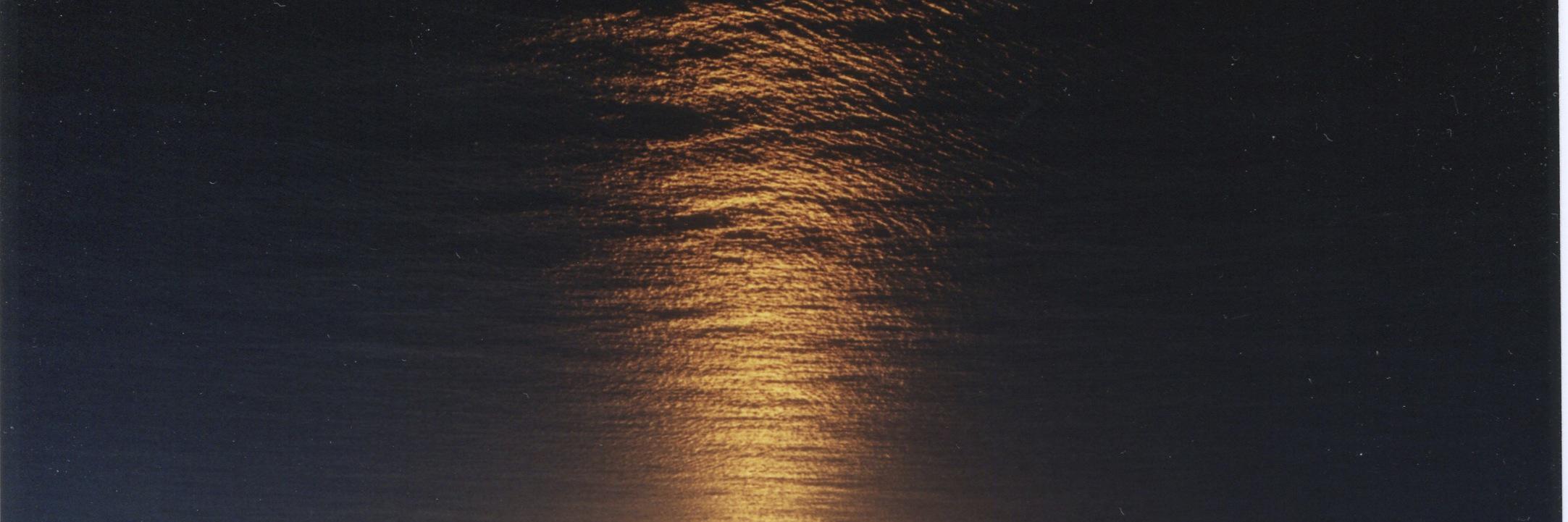JulesFoxMusic's profile banner image