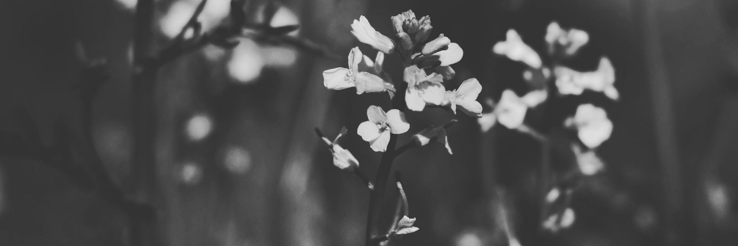 Smarfa22's profile banner image