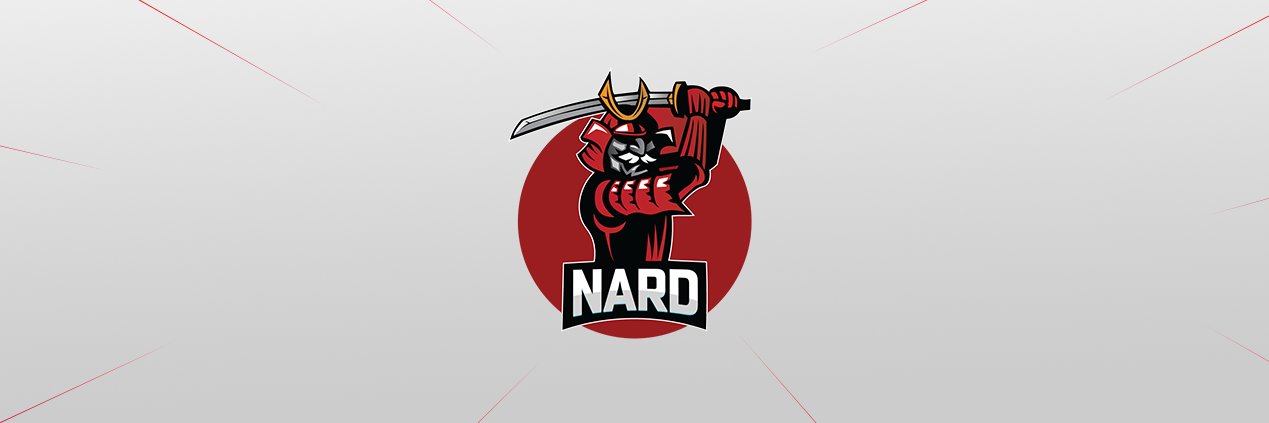 NardGaming's profile banner image