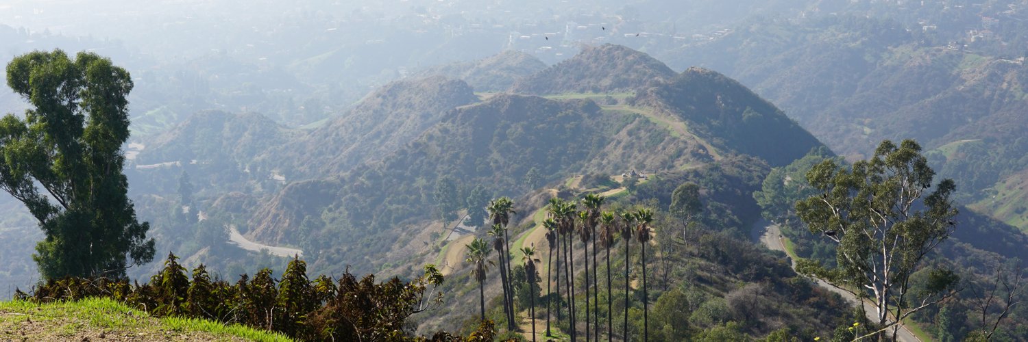 Erin Steinberg banner