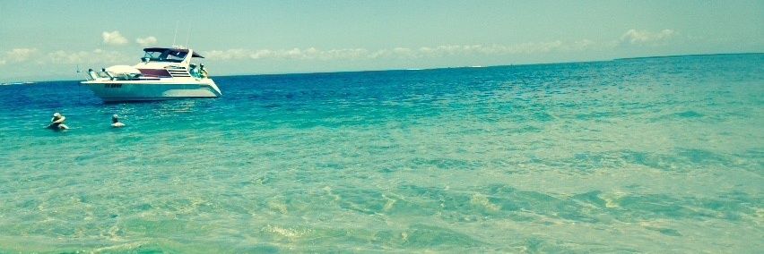 cocomonkey11's profile banner image