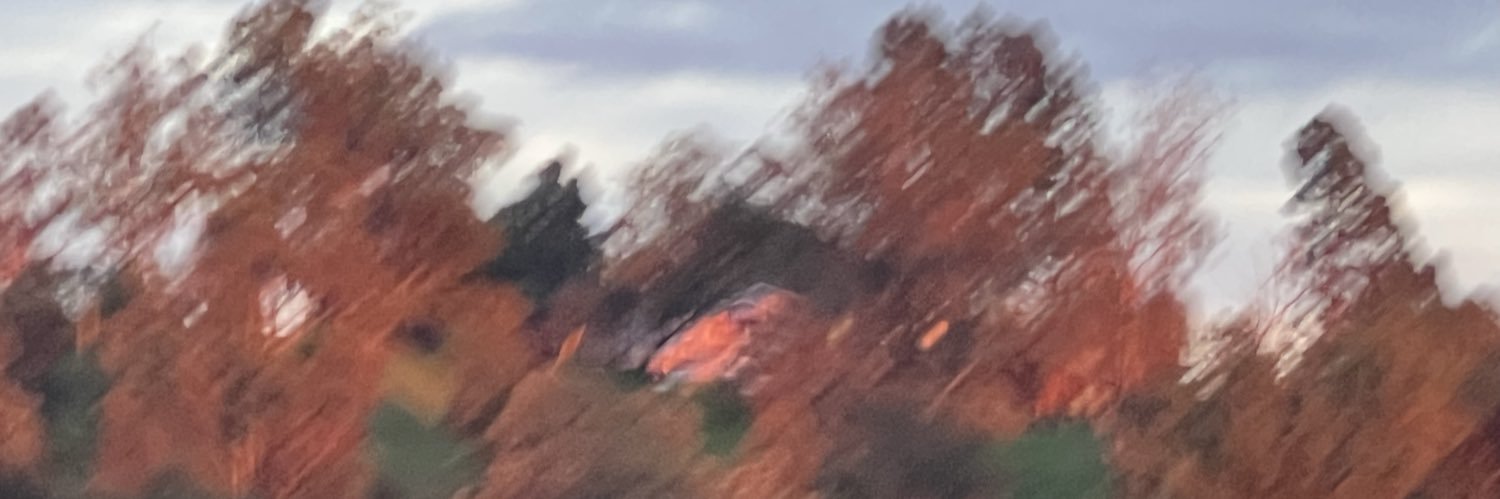 taylorrdiggs's profile banner image