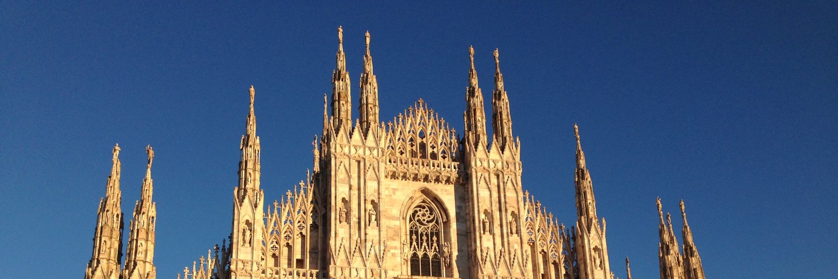 Evelyn Schickling banner