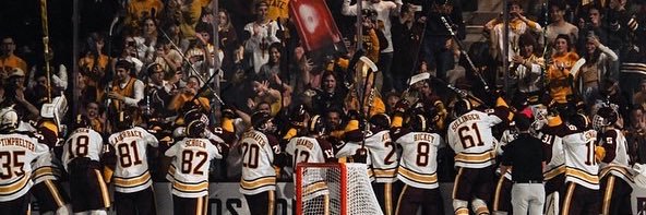 lsillinger's profile banner image