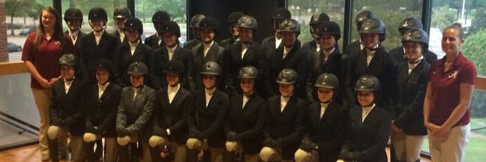 UAEquestrian's profile banner image