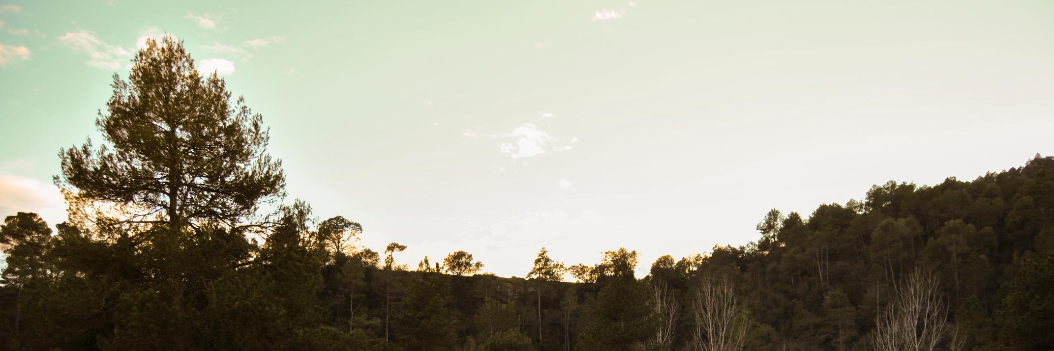 barralliure's profile banner image