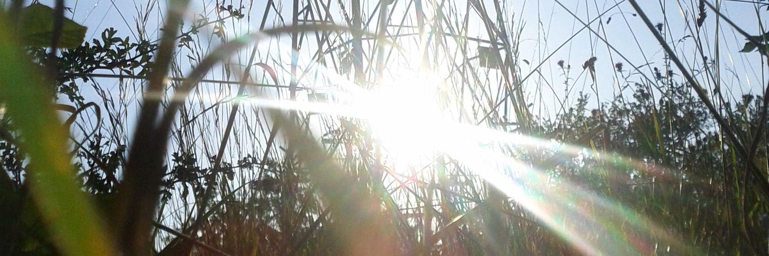maps_11's profile banner image