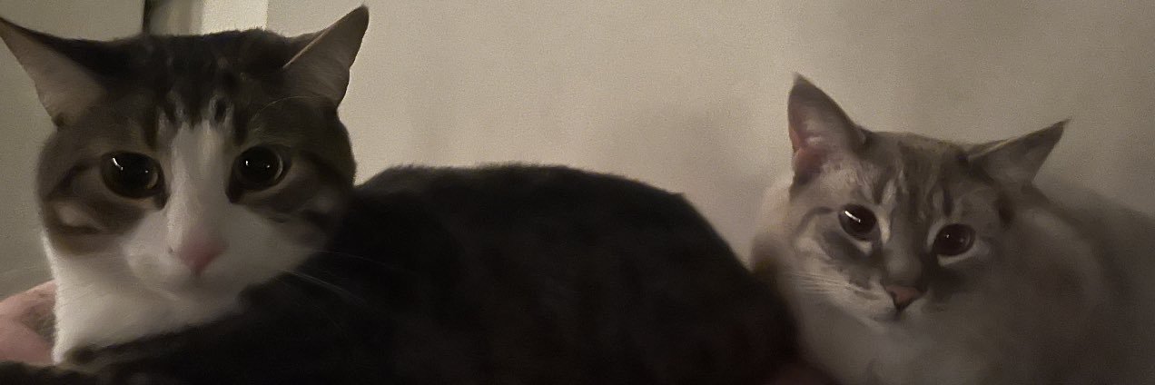 Logan banner