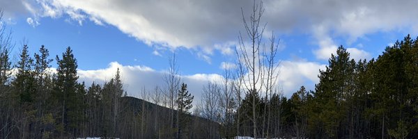 gingricn Profile Banner