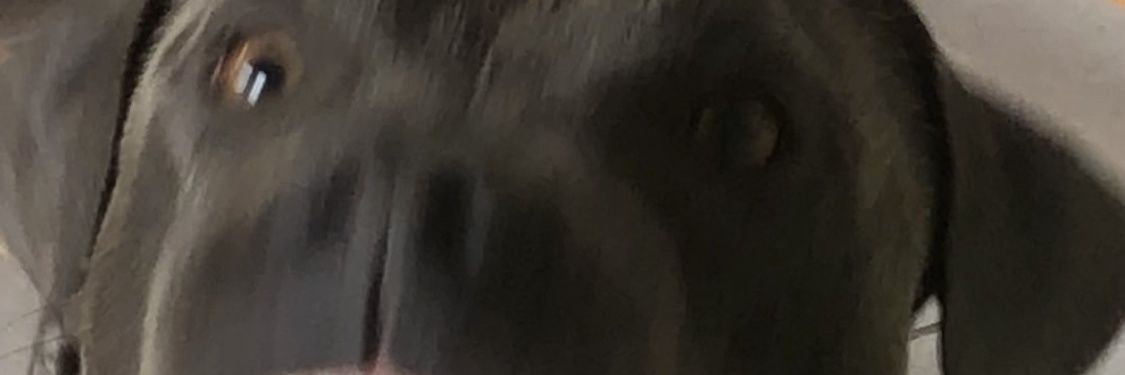 zrablack's profile banner image
