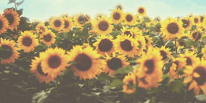 Tb_coco's profile banner image