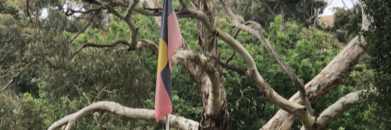 Aileen Collier banner