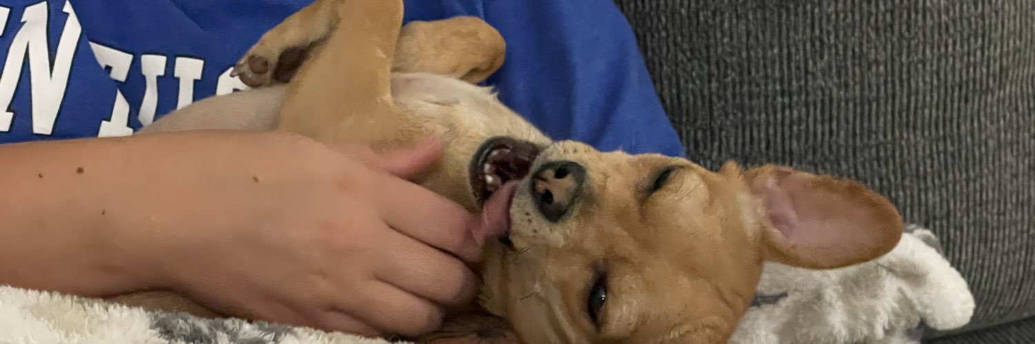 WillettMaxwell's profile banner image