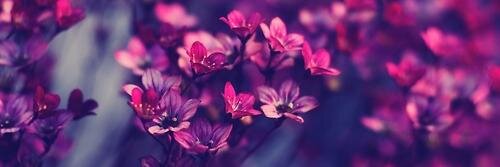 JudithvanKester's profile banner image