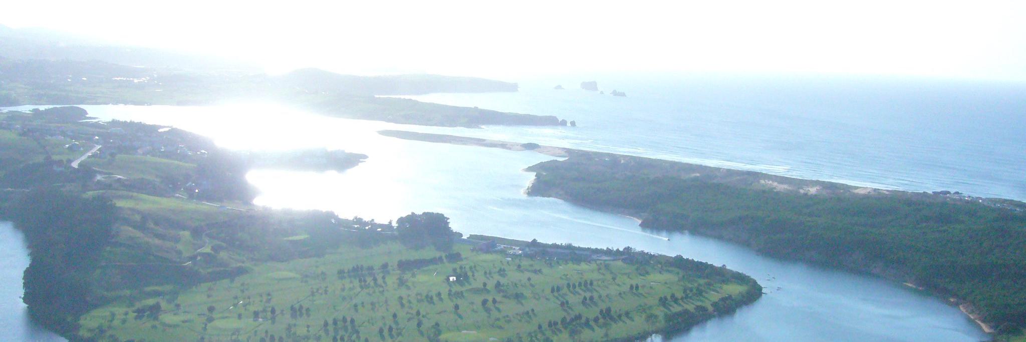 Eva Mora 💢🟣⚪🟢 banner