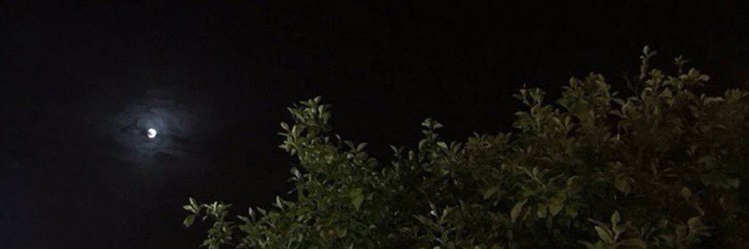 Mead_110's profile banner image