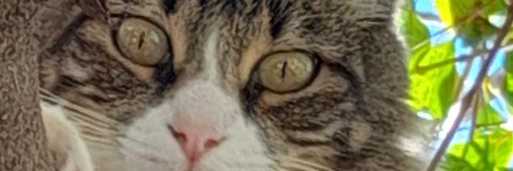 LEN1972's profile banner image