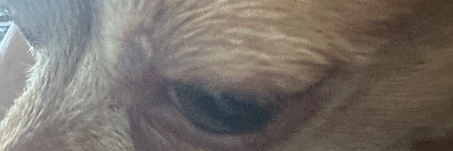 Robbie Martin banner