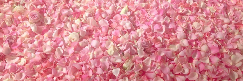 nanami__1997's profile banner image