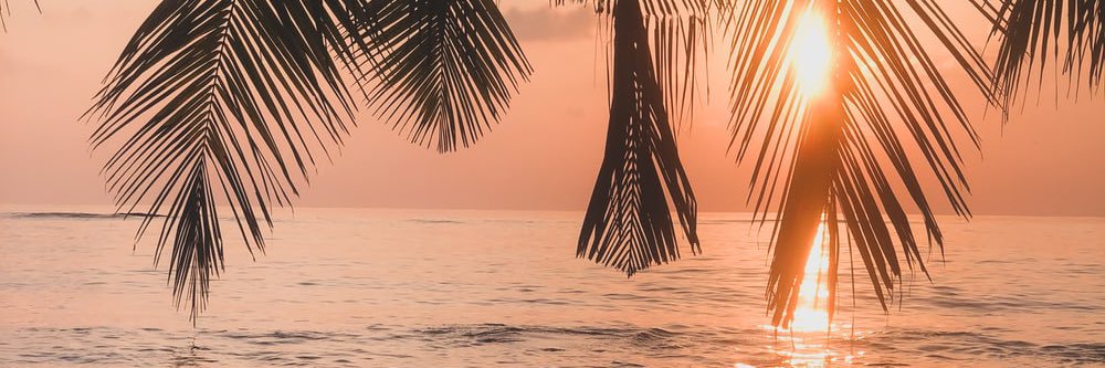 danielaapenaaa's profile banner image