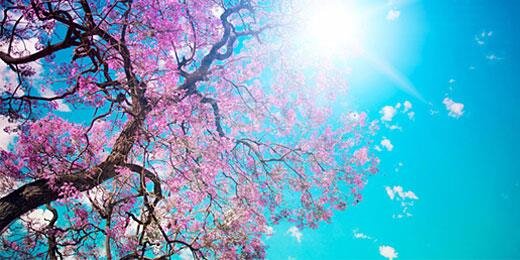 ALifeofYes's profile banner image