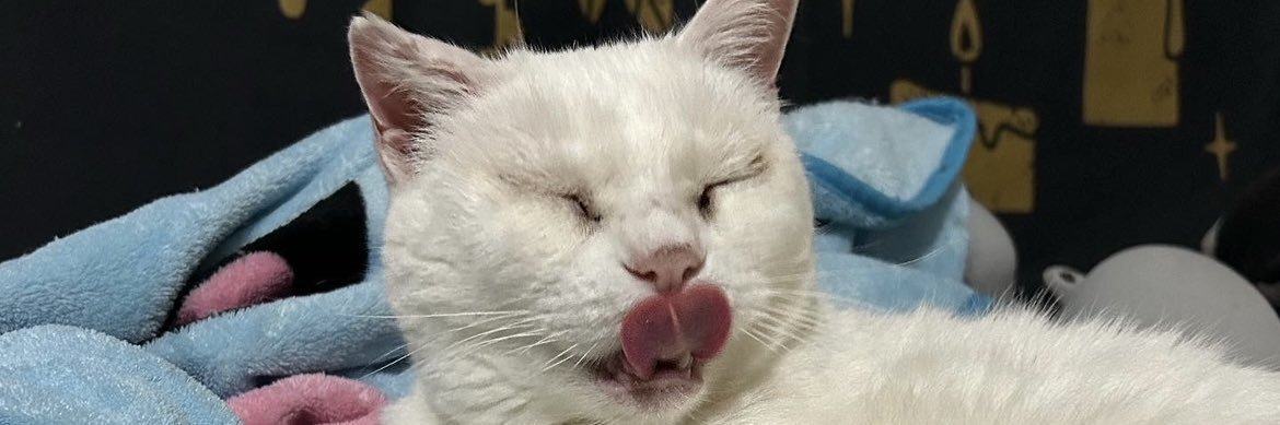 emilybiinx's profile banner image