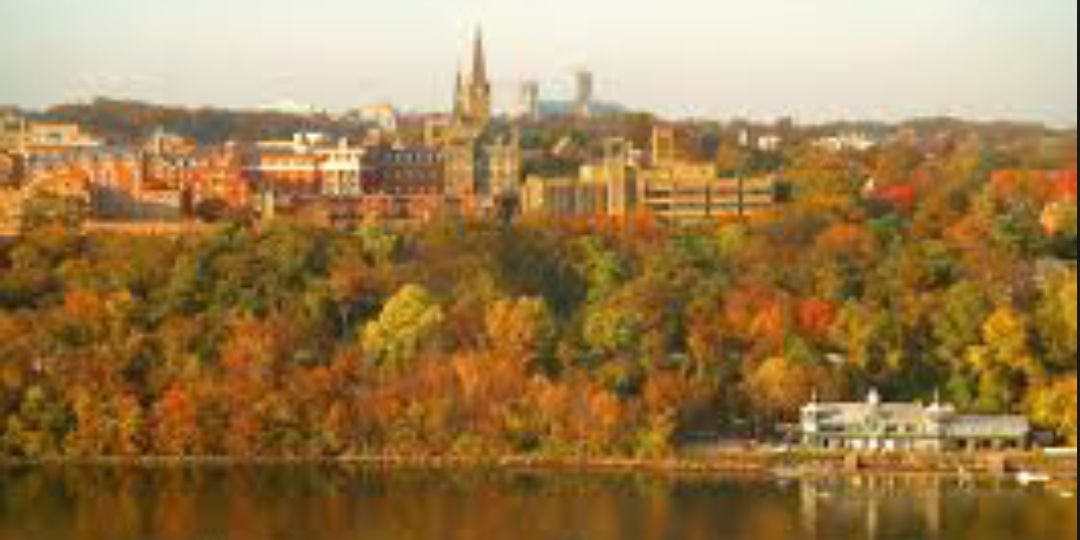 Hoya Saxa banner