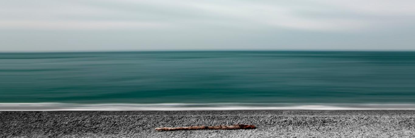 _knapweed's profile banner image