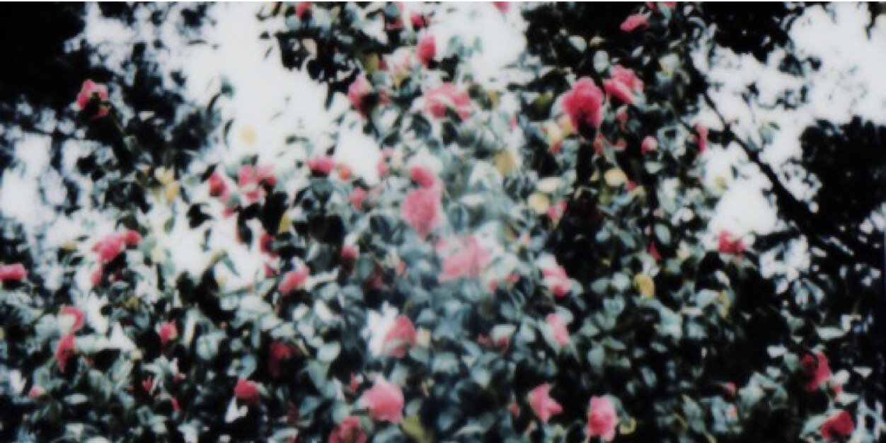 _KotakPos's profile banner image