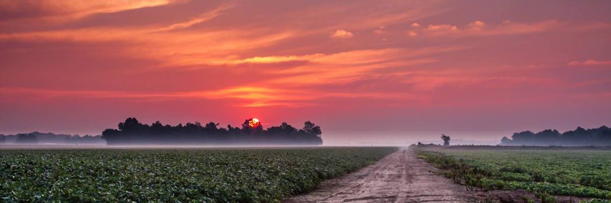 VisitTheDelta's profile banner image