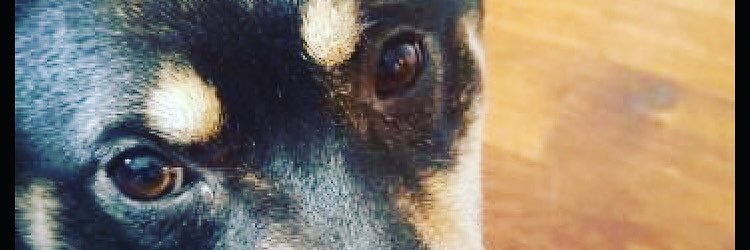 aebowles's profile banner image