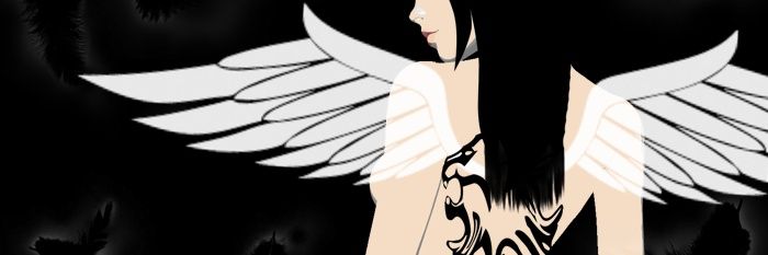 TransientAngel's profile banner image
