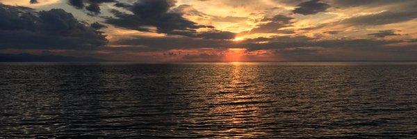 TheScalyOne Profile Banner