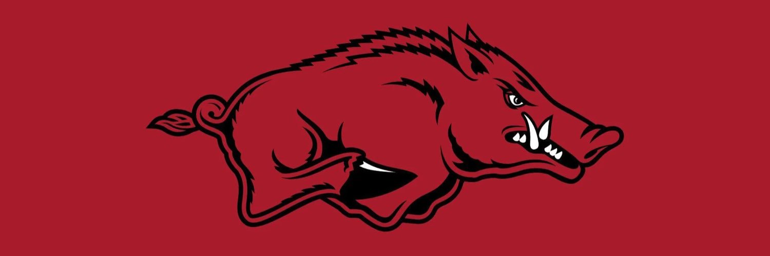 WPS_Megan's profile banner image