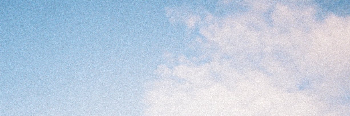 bwareofthedogs's profile banner image
