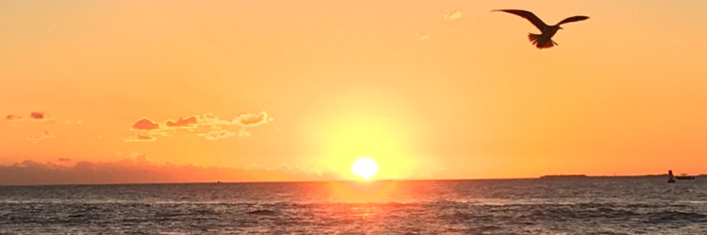 AndersonM555555's profile banner image