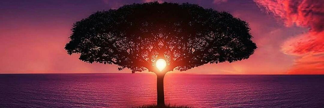 faris_amm's profile banner image