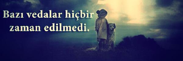 16_sedaa's profile banner image