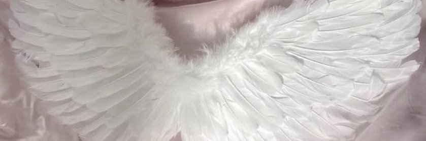 ୨ৎ yvonne! banner