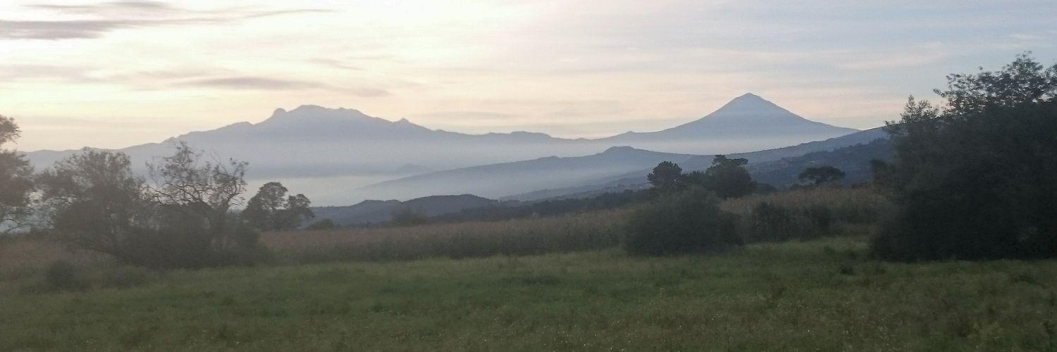 Cuauhtémoc Barriga banner