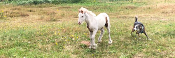 priory4 Profile Banner