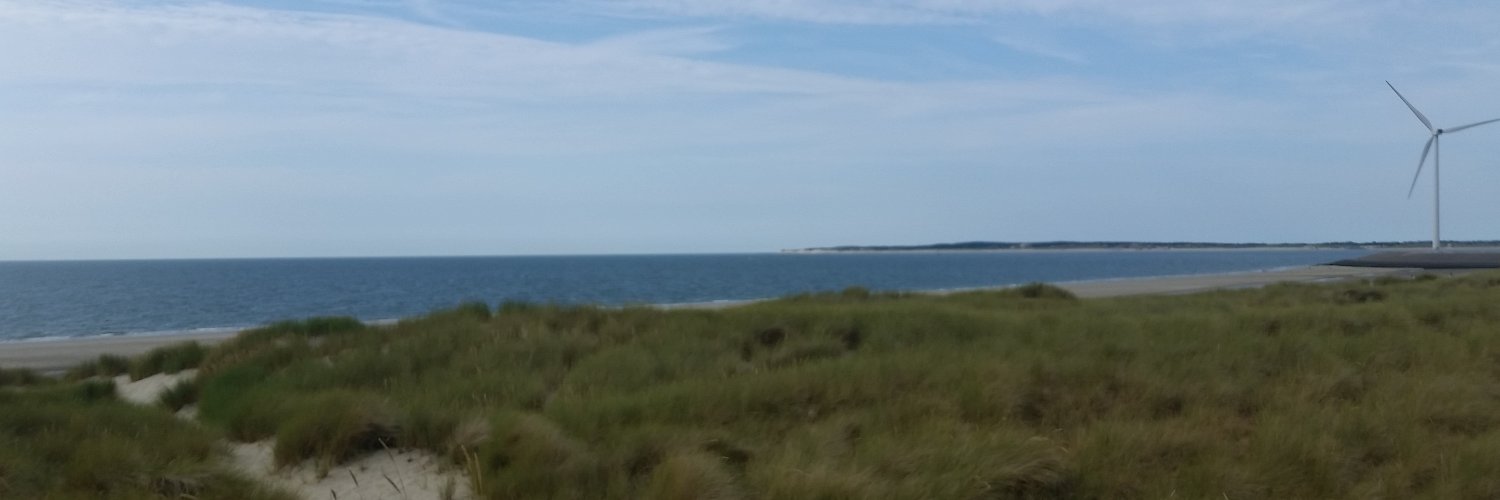mschambach's profile banner image