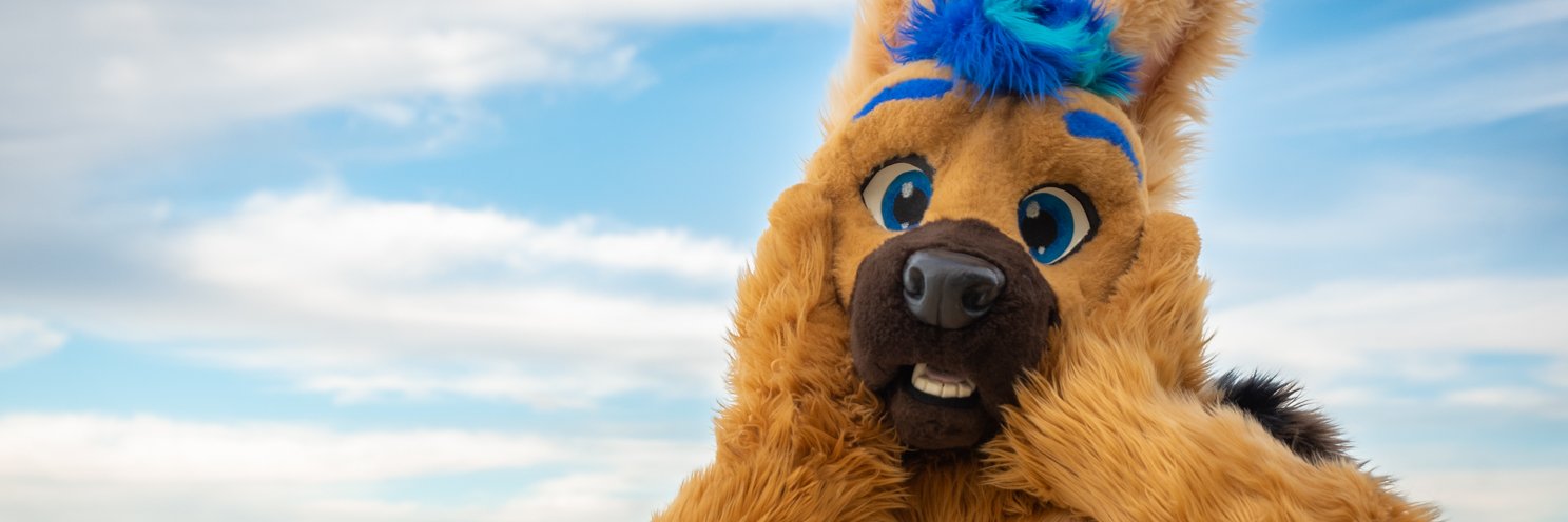 Fane K9's banner