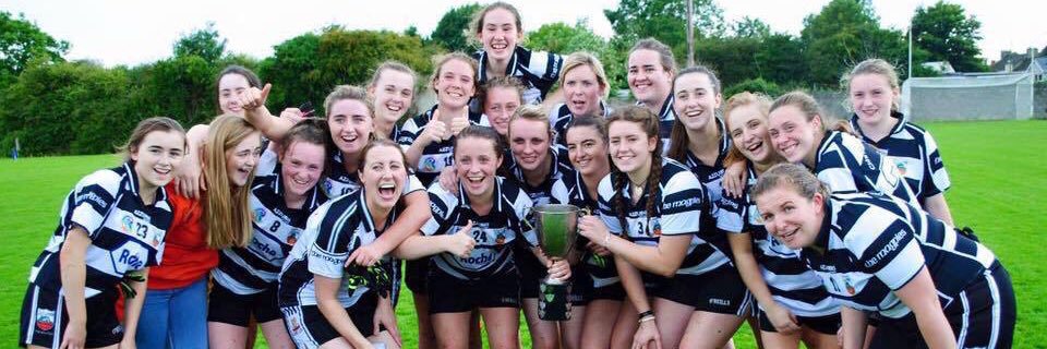 ClarecastleLGFA's profile banner image