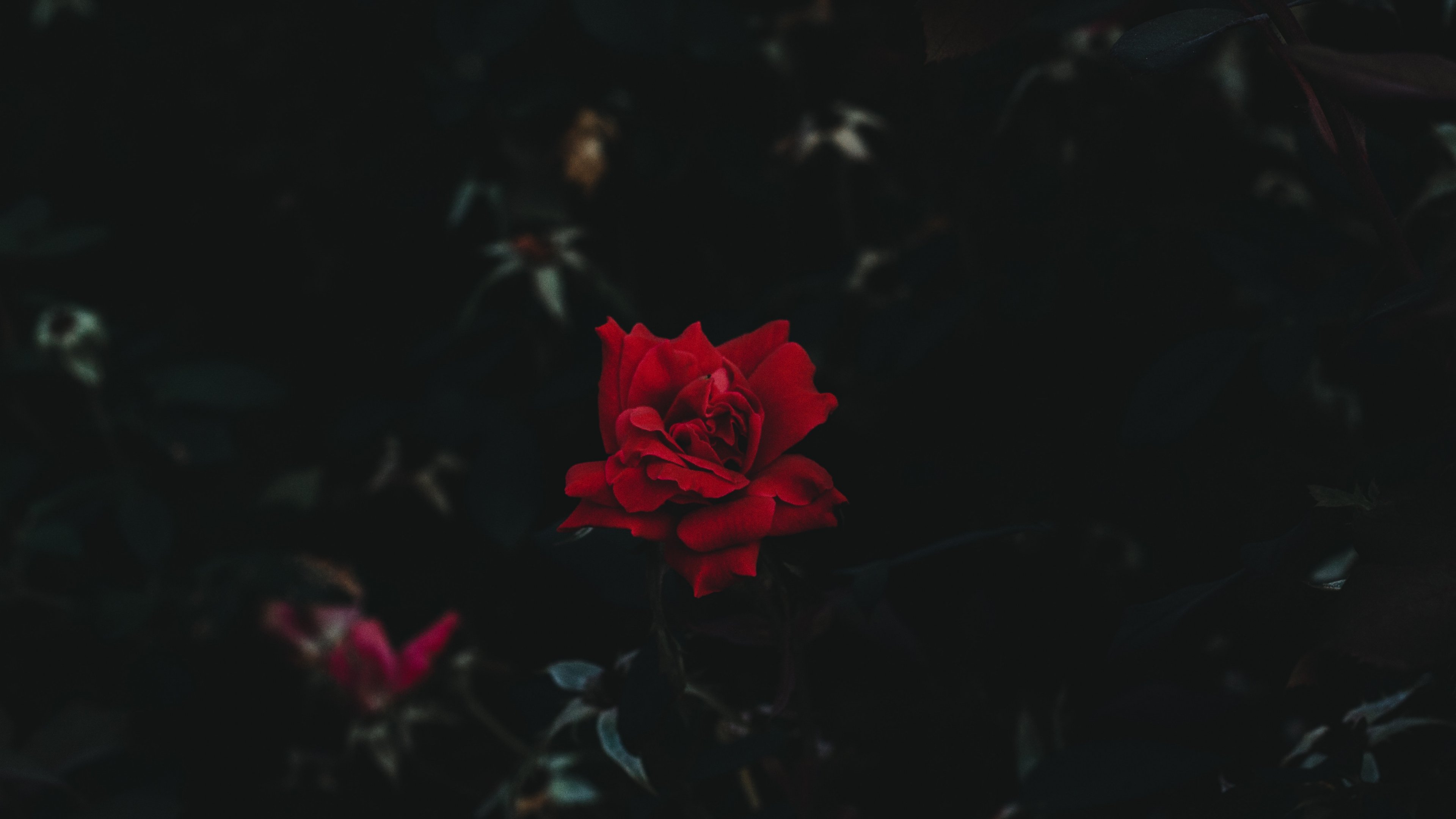 RickyCox10's profile banner image