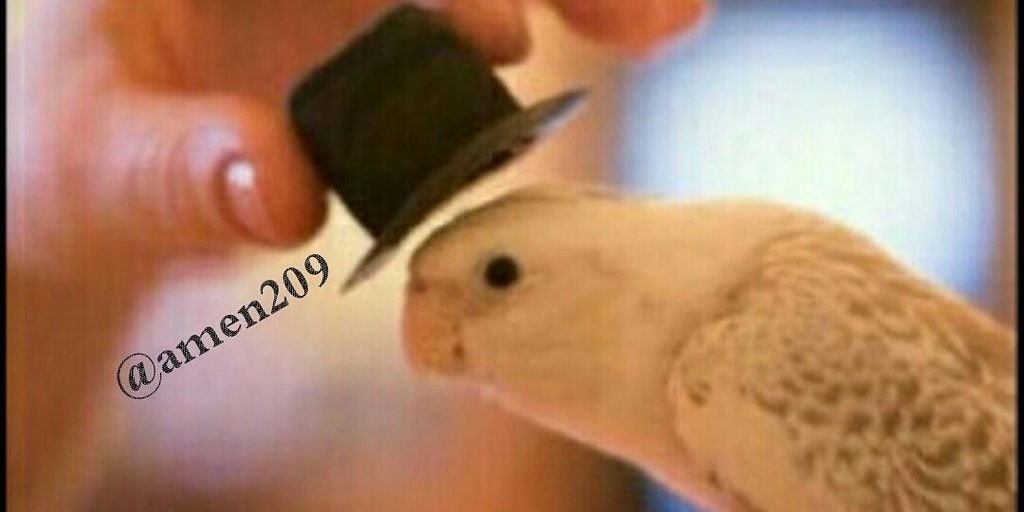 amen209's profile banner image