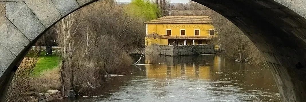 MInésCubillo🕊️ banner